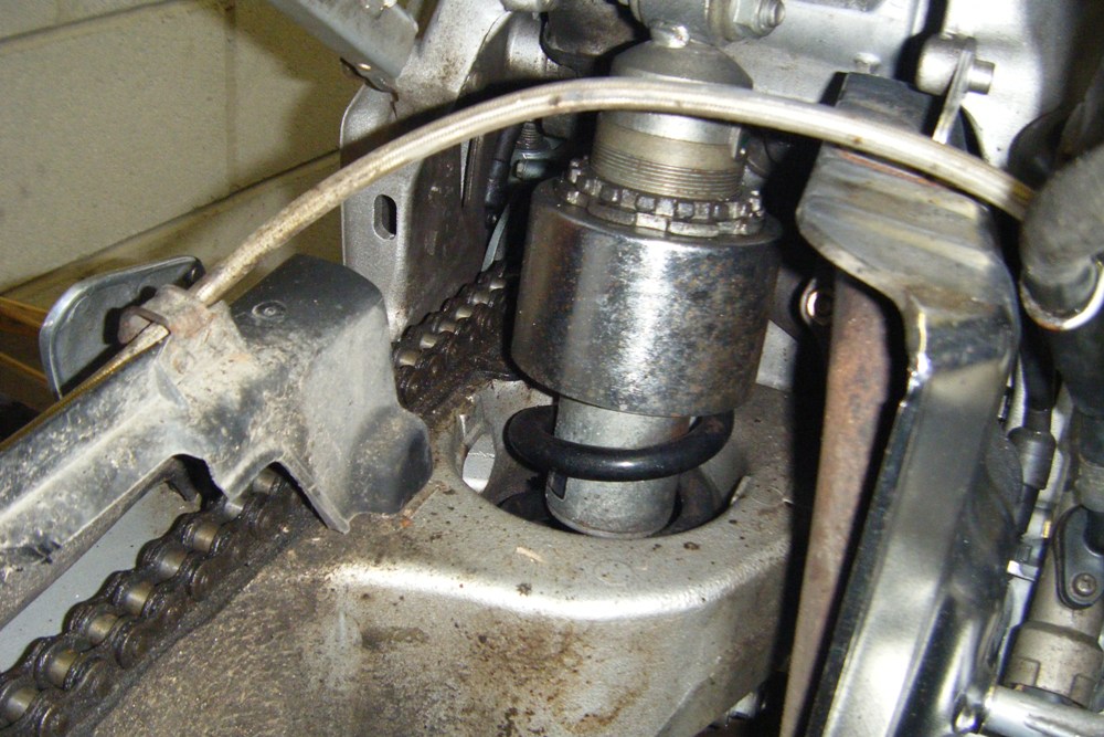 Jan-July 2010 494.jpg